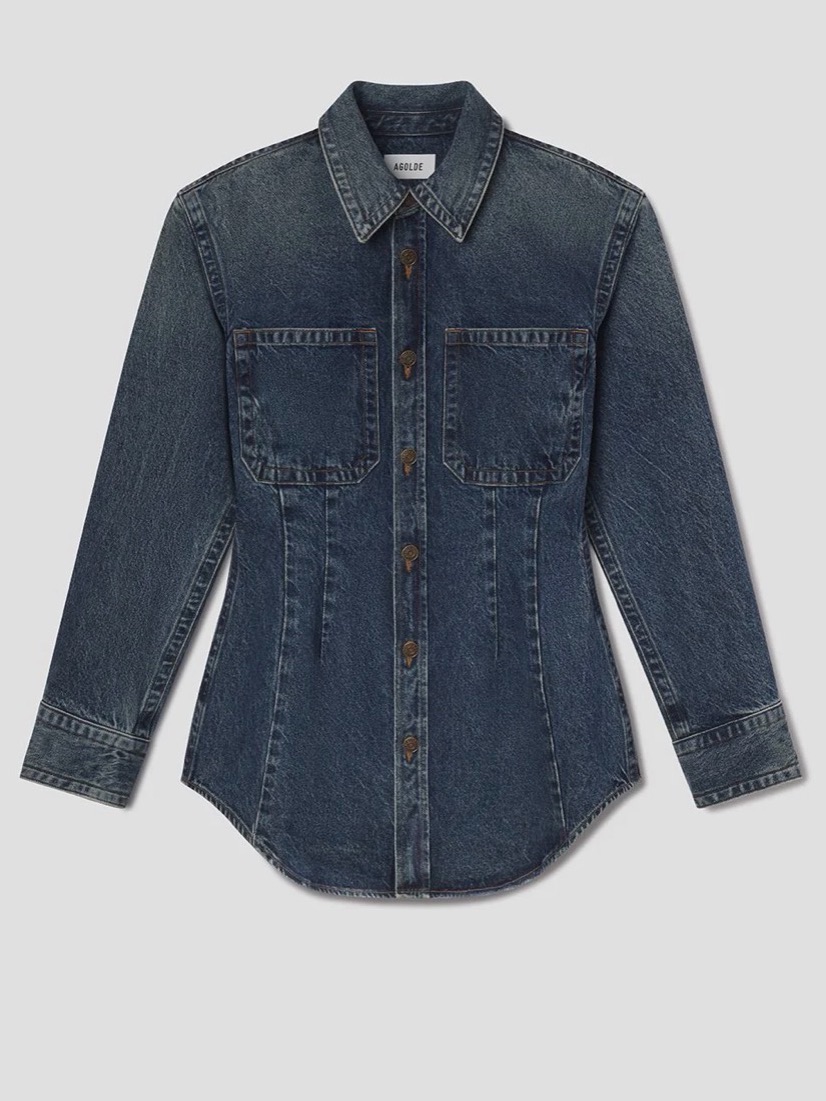 Agolde Wilma Shirt In Form